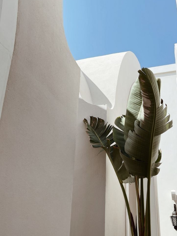 Suna protein tea latte travel set perfect for wellness people on the go. Packed with 20g of whey protein and marine collagen.