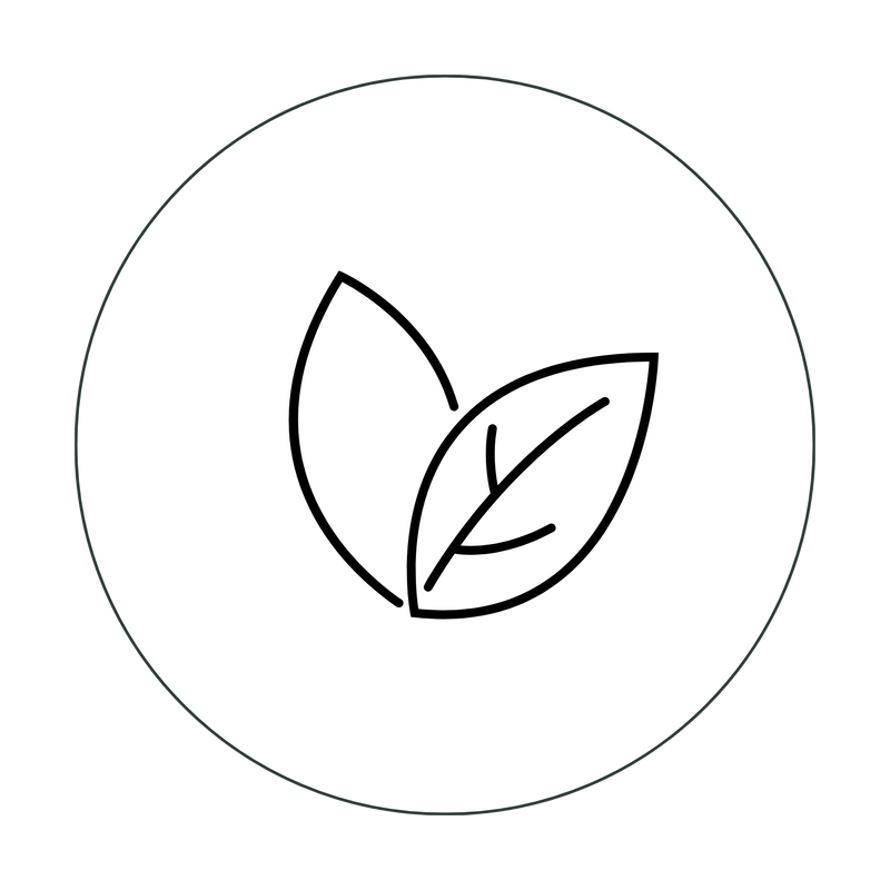 The Suna Protein Tea Latte is rich in antioxidants as it contains premium tea